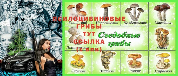 шишки Богданович