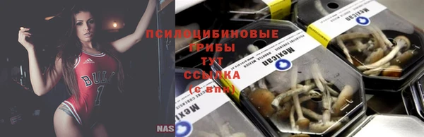 твердый Белоозёрский