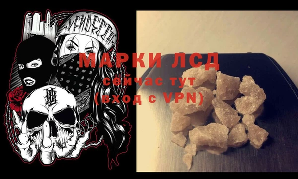 прущие грибы Навашино