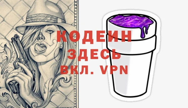 шишки Богородск