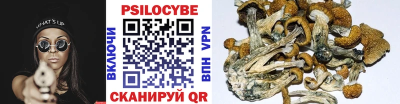 ОМГ ОМГ ТОР  Бирюсинск  Галлюциногенные грибы GOLDEN TEACHER 